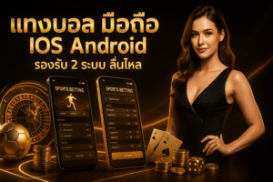 แทงบอล มือถือ ios android